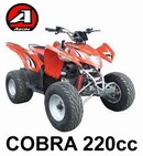 Ricambi Aeon Cobra 220